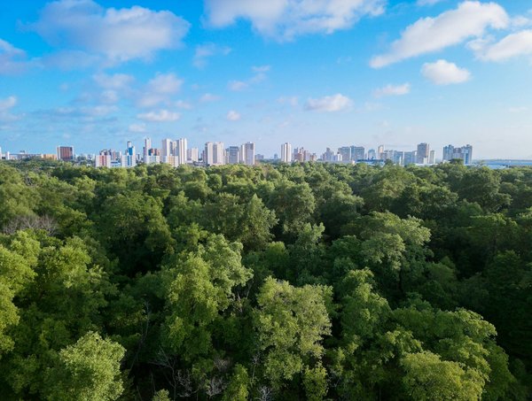 Sédentarité au Bureau : Conséquences Sanitaires et Stratégies Innovantes pour Bouger !