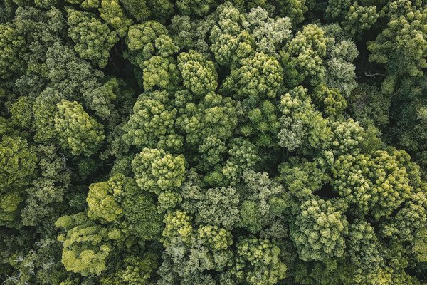 Découvrez les offres d'appartements à louer à saint barthélemy